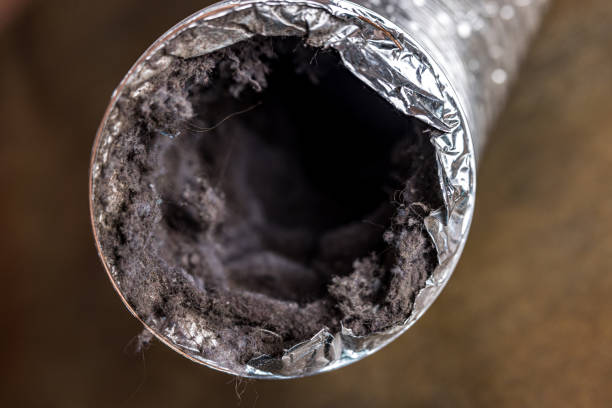 Air Duct Mold Removal in ND